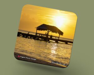 Corkback Coaster (Tobago) Pigeon Point