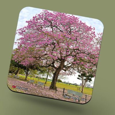 Corkback Coaster (Landscape) Pink Poui