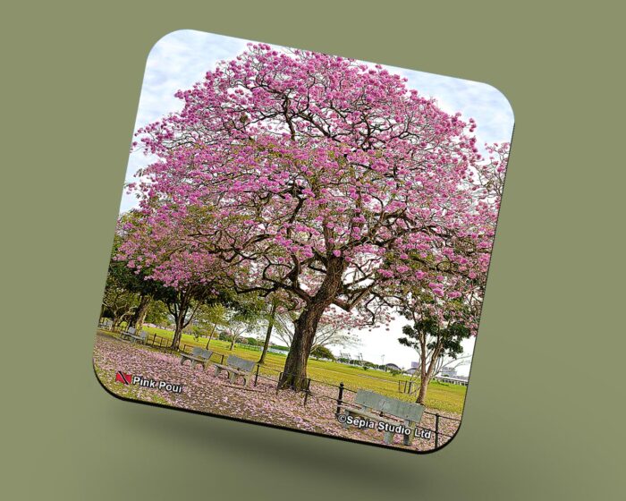 Corkback Coaster (Landscape) Pink Poui