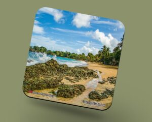 Corkback Coaster (Tobago) Stone Haven Bay