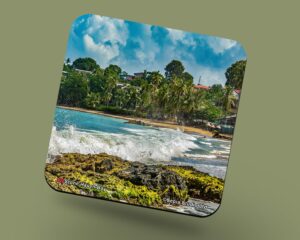 Corkback Coaster (Tobago) Stone Haven Bay