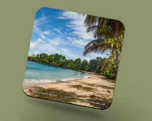 Corkback Coaster (Tobago) Stone Haven Beach