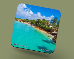 Corkback Coaster (Tobago) Store Bay