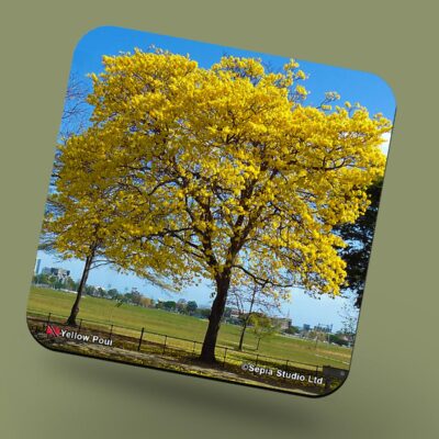 Corkback Coaster (Landscape) Yellow Poui