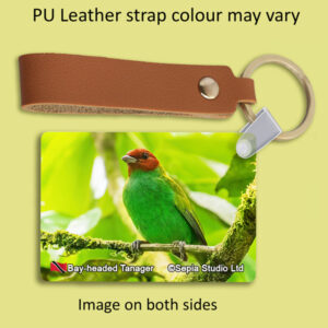 Key Ring Metal Bay-headed Tanager