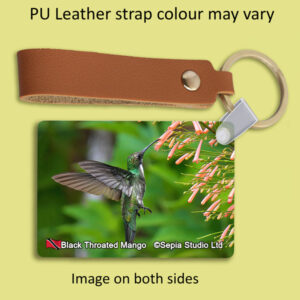 Key Ring Metal Black Throated Mango (F) Hummingbird