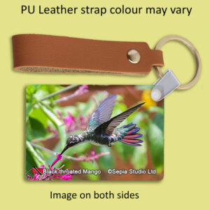 Key Ring Metal Black Throated Mango (F) Hummingbird