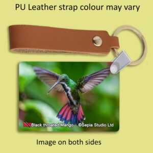 Key Ring Metal Black Throated Mango (F) Hummingbird