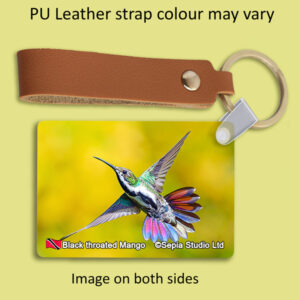 Key Ring Metal Black Throated Mango (F) Hummingbird