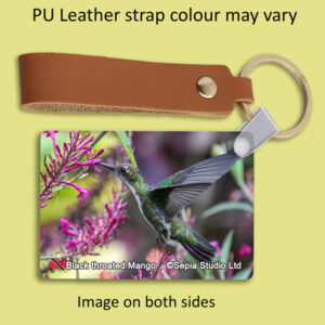 Key Ring Metal Black Throated Mango (F) Hummingbird