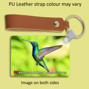 Key Ring Metal Black Throated Mango (M) Hummingbird