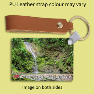 Key Ring Metal Blue Basin (Waterfall)