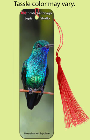 Bookmark Metal Blue-chinned Sapphire (Hummingbird)