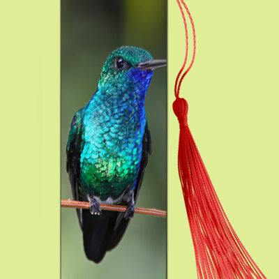Bookmark Metal (Hummingbird) Blue-chinned Sapphire