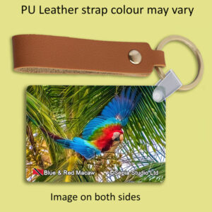 Key Ring Metal Red & Blue Macaw