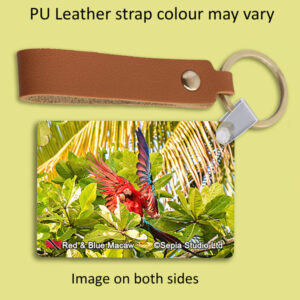 Key Ring Metal Red & Blue Macaw 2