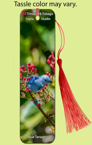 Bookmark Metal Blue Tanager (Birds)