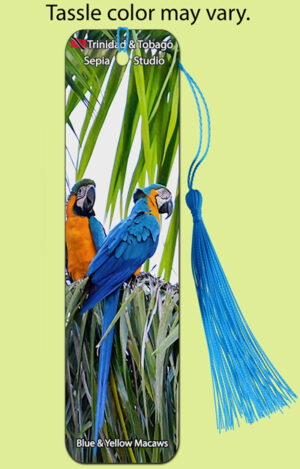 Bookmark Metal Blue & Yellow Macaw (Birds)