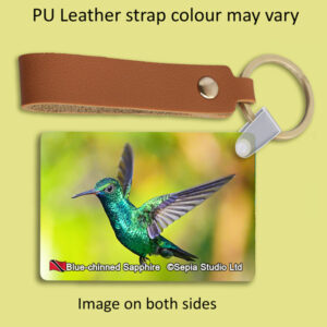 Key Ring Metal Blue-chinned Sapphire Hummingbird