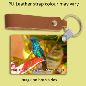 Key Ring Metal Blue-chinned Sapphire Hummingbird