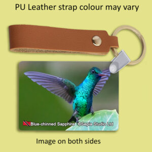Key Ring Metal Blue-chinned Sapphire Hummingbird