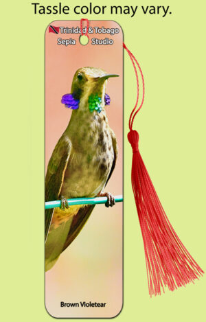 Bookmark Metal Brown Violetear (Hummingbird)