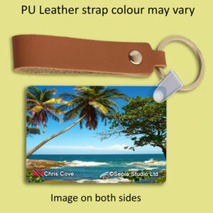 Key Ring Metal Chris Cove