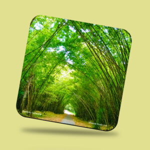Corkback Coasters