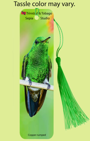Bookmark Metal Copper-rumped (Hummingbird)