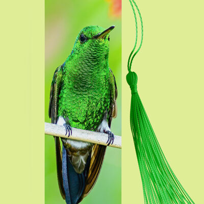 Bookmark Metal (Hummingbird) Copper-rumped