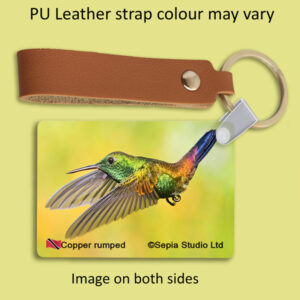 Key Ring Metal Copper-rumped Hummingbird
