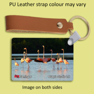 Key Ring Metal Flamingos 2