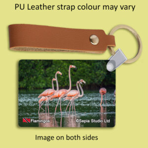 Key Ring Metal Flamingos