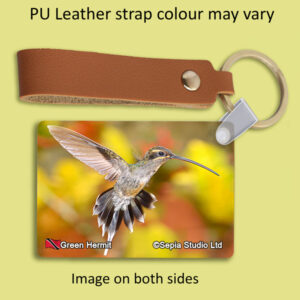 Key Ring Metal Green Hermit Hummingbird