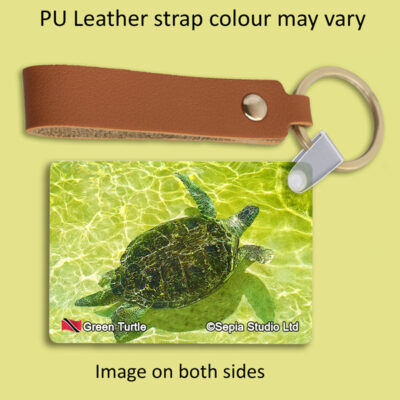 Key Ring Metal Green Turtle (Turtle)