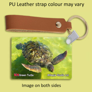 Key Ring Metal Green Turtle (Turtle)