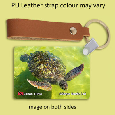Key Ring Metal Green Turtle (Turtle)