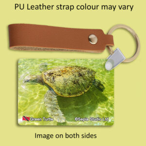 Key Ring Metal Green Turtle (Turtle)