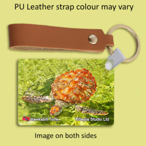 Key Ring Metal Hawksbill Turtle (Turtle)