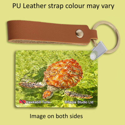 Key Ring Metal Hawksbill Turtle (Turtle)