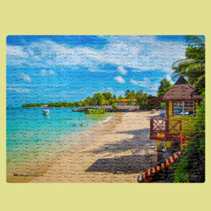 Jigsaw Puzzle (252pcs)