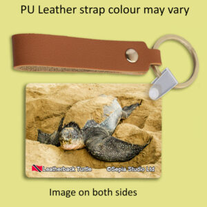 Key Ring Metal Leatherback Turtle (Turtle)