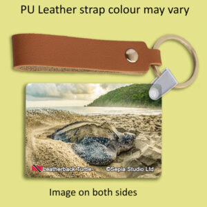 Key Ring Metal Leatherback Turtle (Turtle)