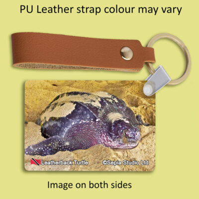 Key Ring Metal Leatherback Turtle (Turtle)