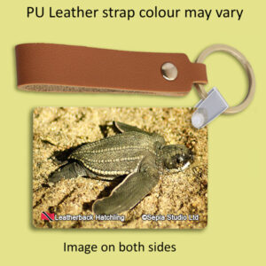 Key Ring Metal Leatherback Turtle Hatchling (Turtle)