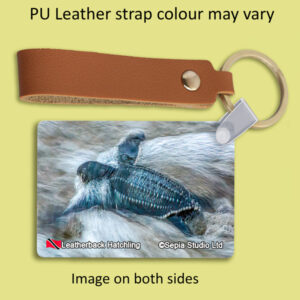 Key Ring Metal Leatherback Turtle Hatchling (Turtle)