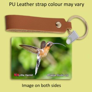 Key Ring Metal Little Hermit Hummingbird