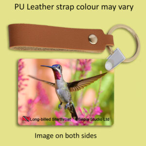 Key Ring Metal Long-billed Starthroat (M) Hummingbird