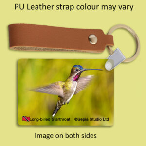 Key Ring Metal Long-billed Starthroat (M) Hummingbird