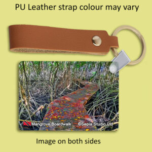 Key Ring Metal Mangrove Boardwalk (Tobago)